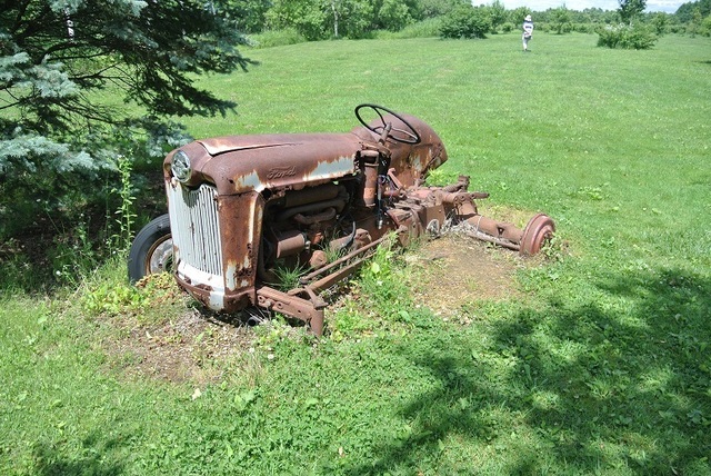 DSC_0935.JPG