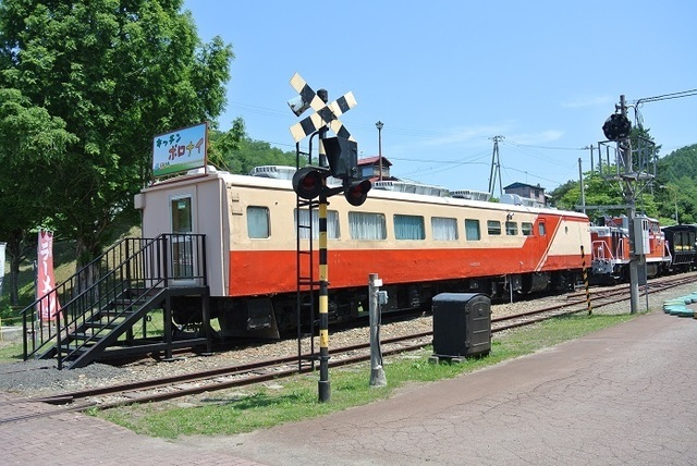 DSC_1103.JPG