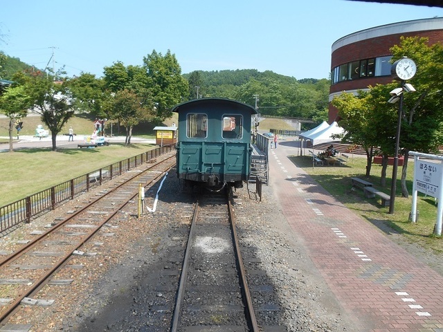 DSC_1134-4.JPG