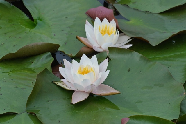 DSC_1301.JPG