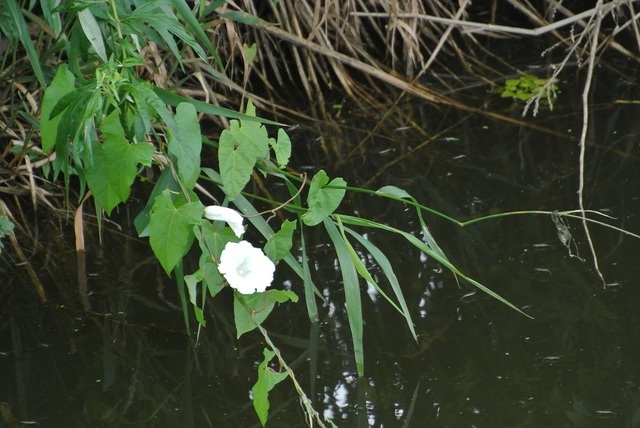 DSC_1329.JPG