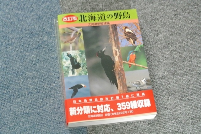 DSC_1339.JPG
