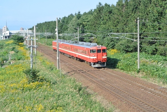 DSC_1803.JPG