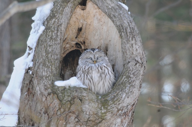 DSC_4310.JPG