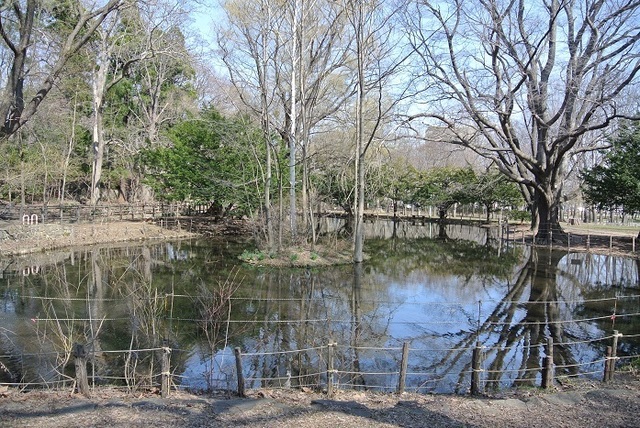 DSC_6112.JPG