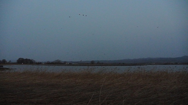 DSC_6202.JPG