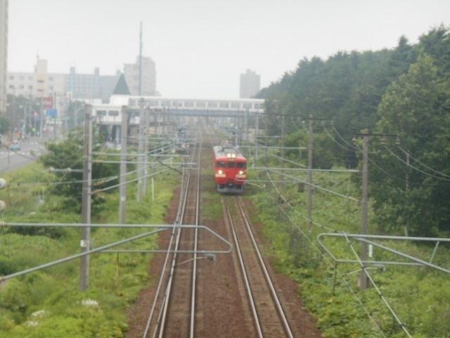DSC_6930.JPG