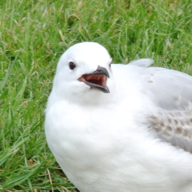 DSC_7139.JPG