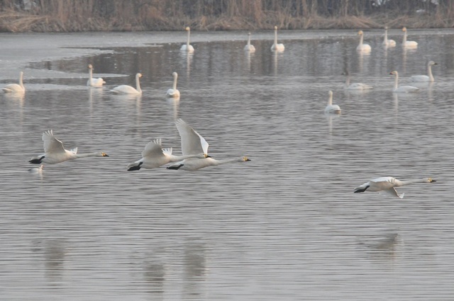 DSC_7287.JPG