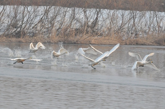 DSC_7344.JPG