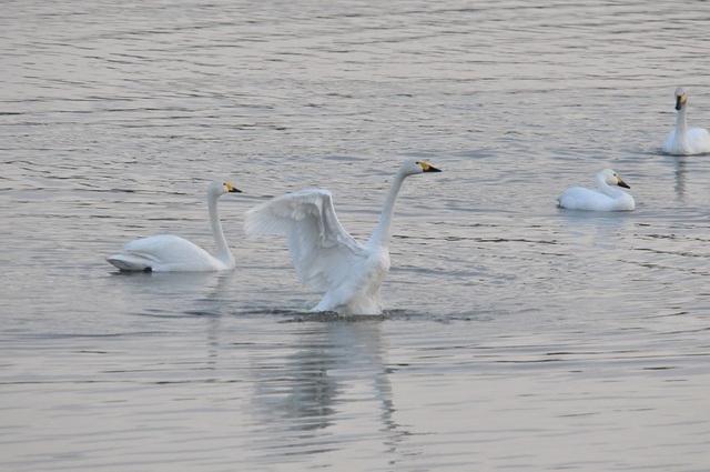 DSC_7369.JPG