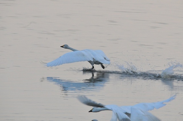 DSC_7374.JPG