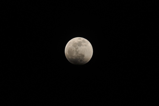 DSC_7431.JPG