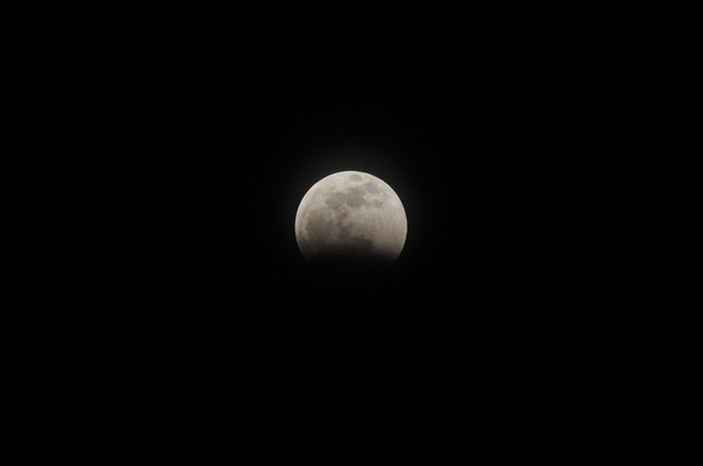 DSC_7438.JPG