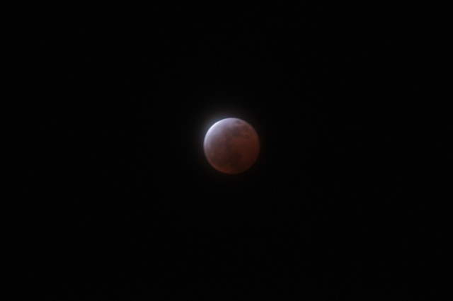 DSC_7462.JPG