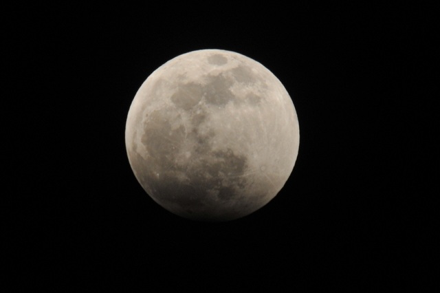 DSC_7516.JPG