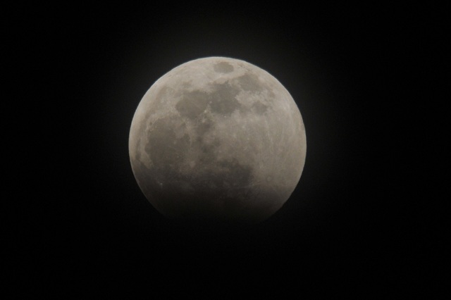 DSC_7517.JPG