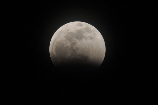 DSC_7519.JPG