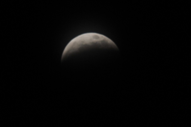 DSC_7526.JPG