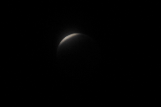 DSC_7529.JPG