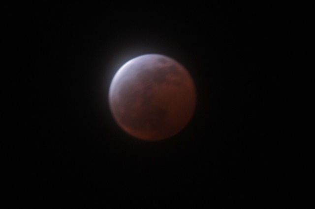 DSC_7532.JPG