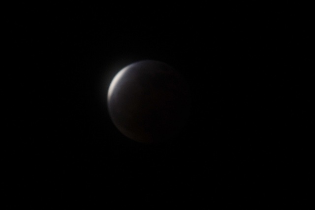 DSC_7536.JPG