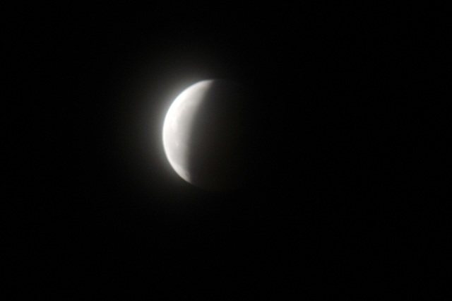 DSC_7540.JPG
