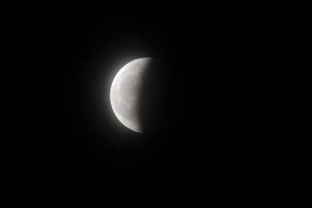 DSC_7542.JPG