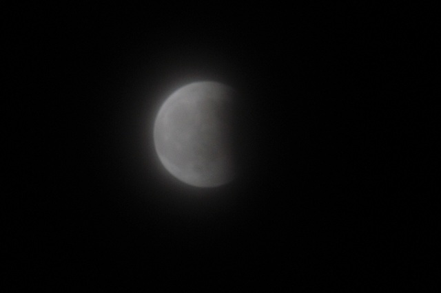DSC_7546.JPG