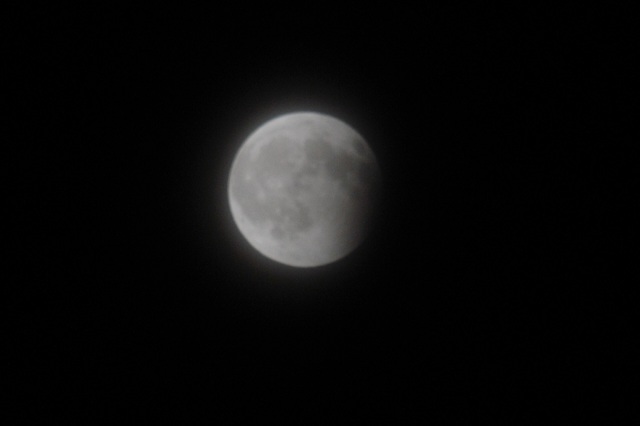 DSC_7548.JPG