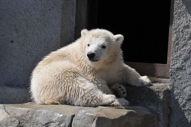 DSC_7560.JPG