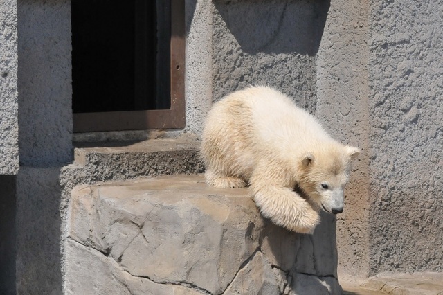 DSC_7563.JPG