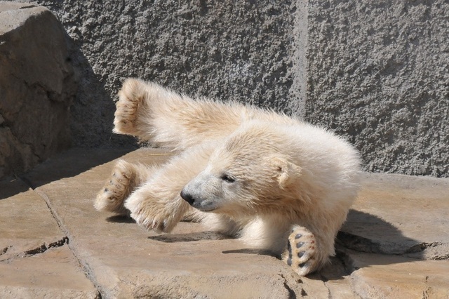 DSC_7658.JPG