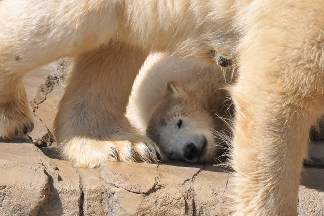 DSC_7659.JPG