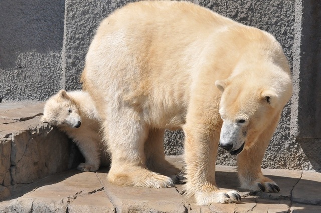 DSC_7664.JPG