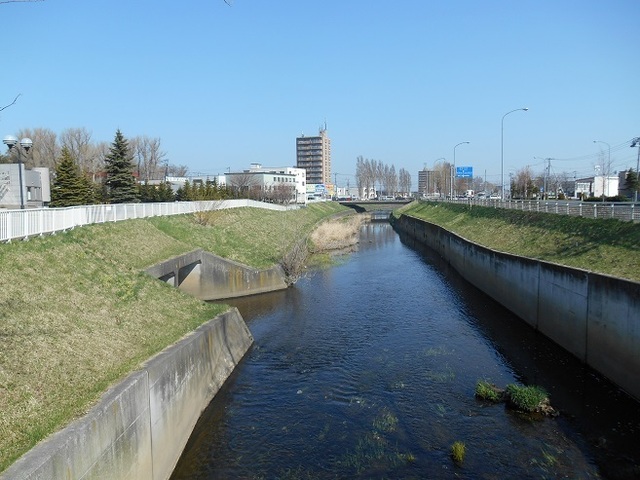 DSC_7730.JPG