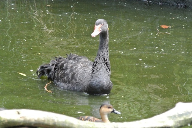 DSC_8057.JPG