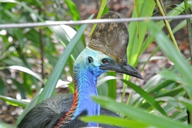 DSC_8062.JPG