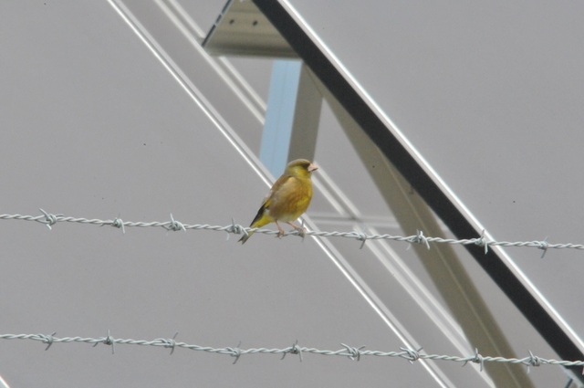 DSC_8104.JPG