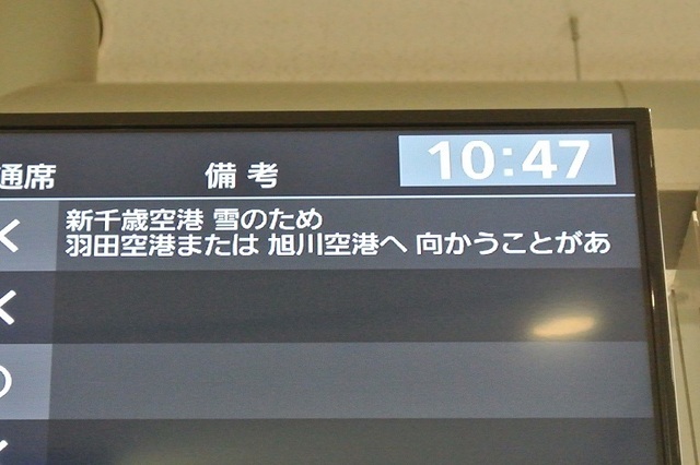 DSC_8230.JPG