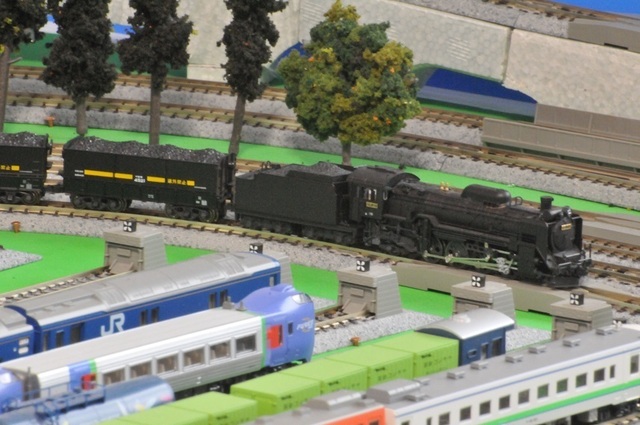 DSC_8243.JPG