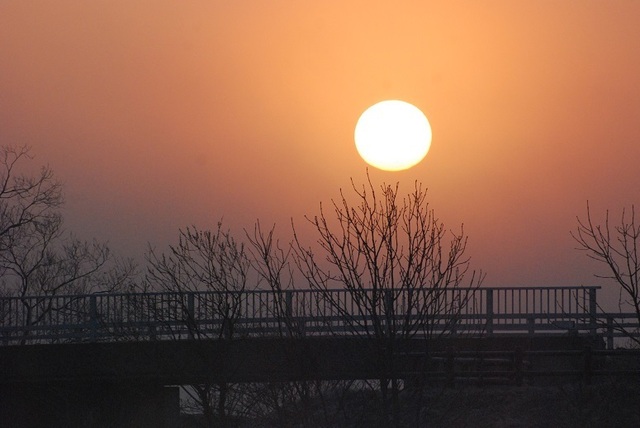 DSC_8816-1.JPG