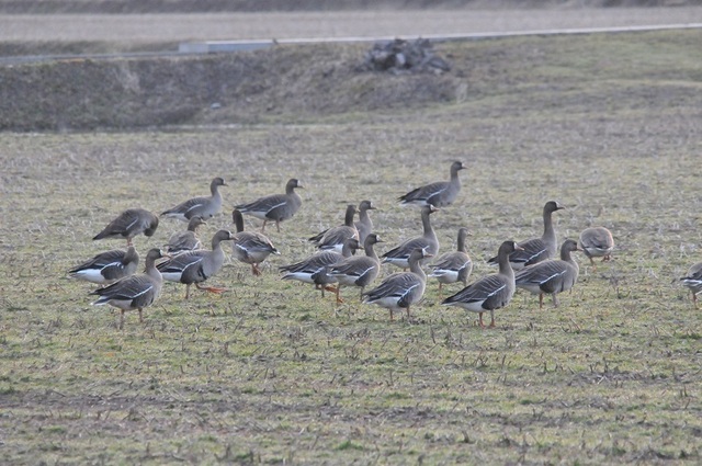 DSC_9029.JPG