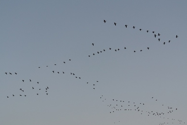 DSC_9266.jpg
