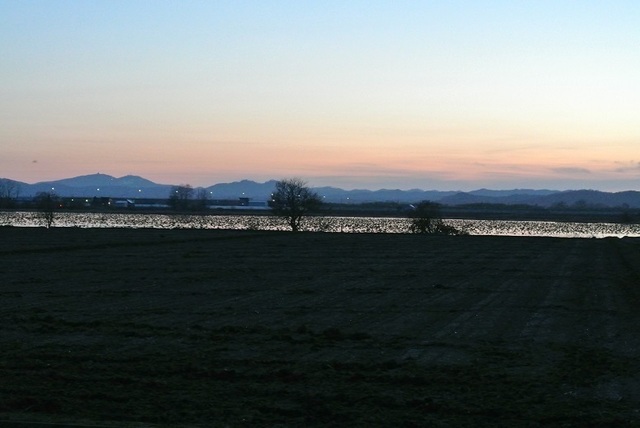 DSC_9268.JPG
