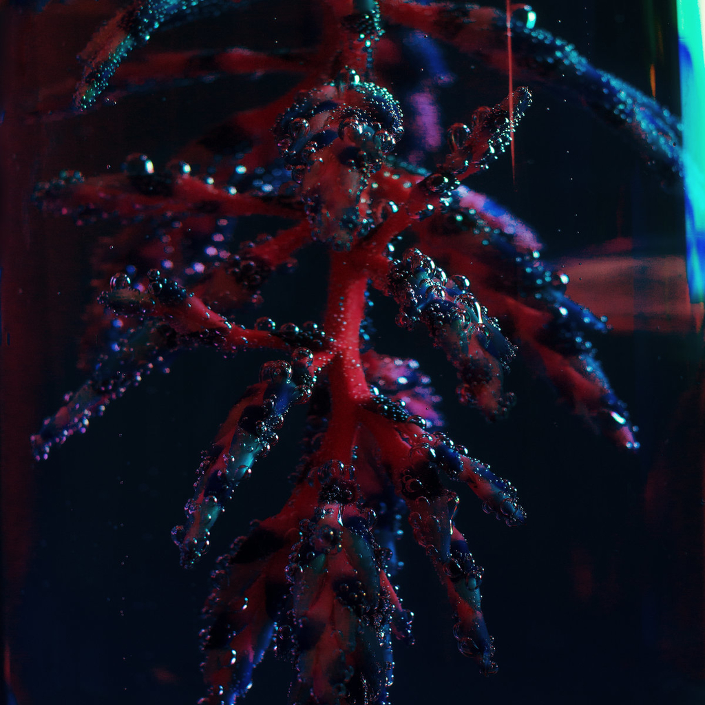 f:id:yorosz:20190205132505j:plain f:id:yorosz:20190205132505j:plain