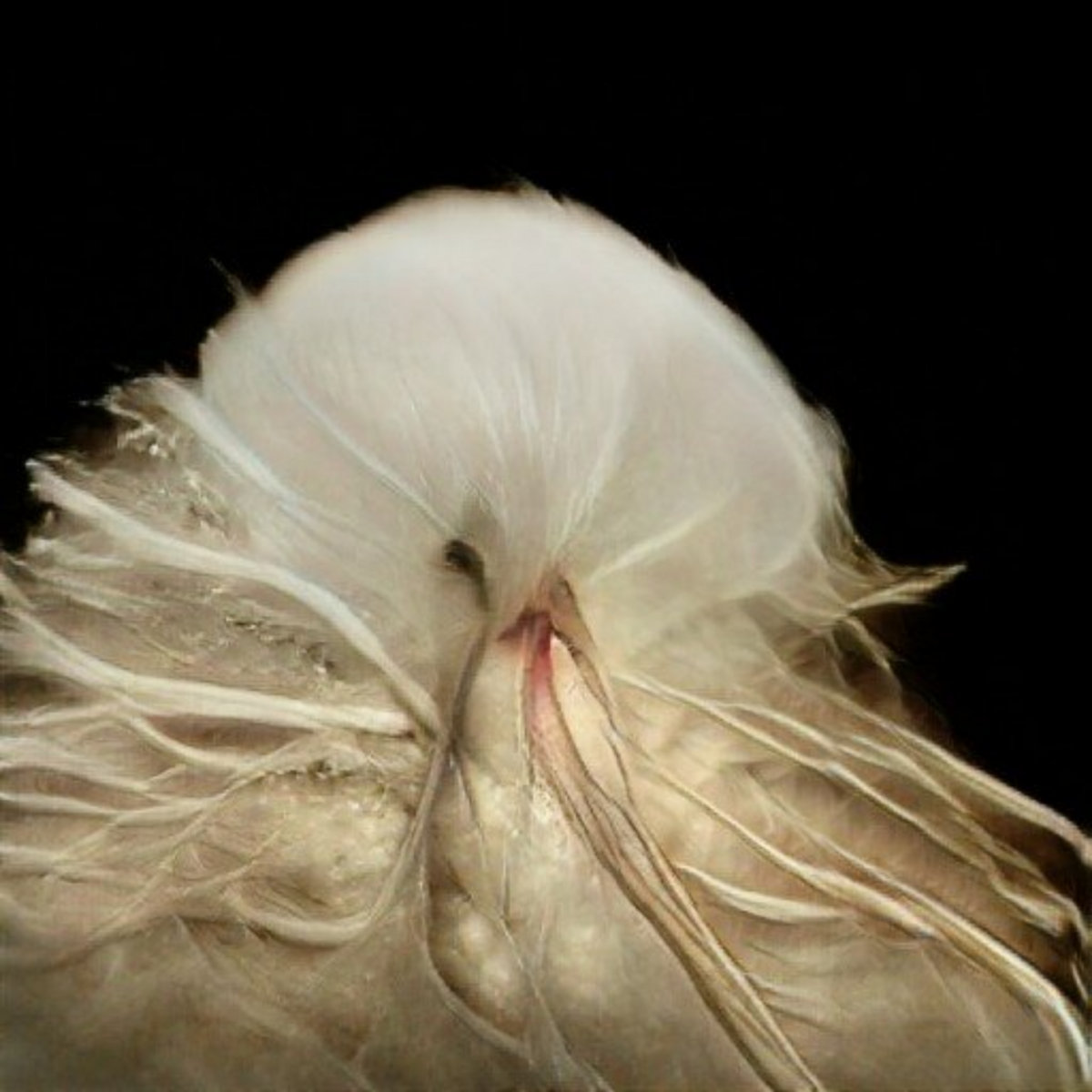 f:id:yorosz:20210808032449j:plain