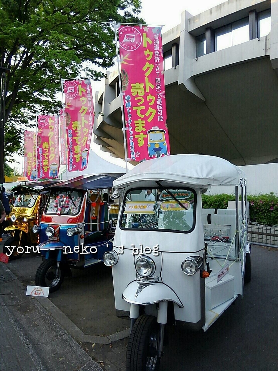 f:id:yoru-neko:20190511233615j:plain