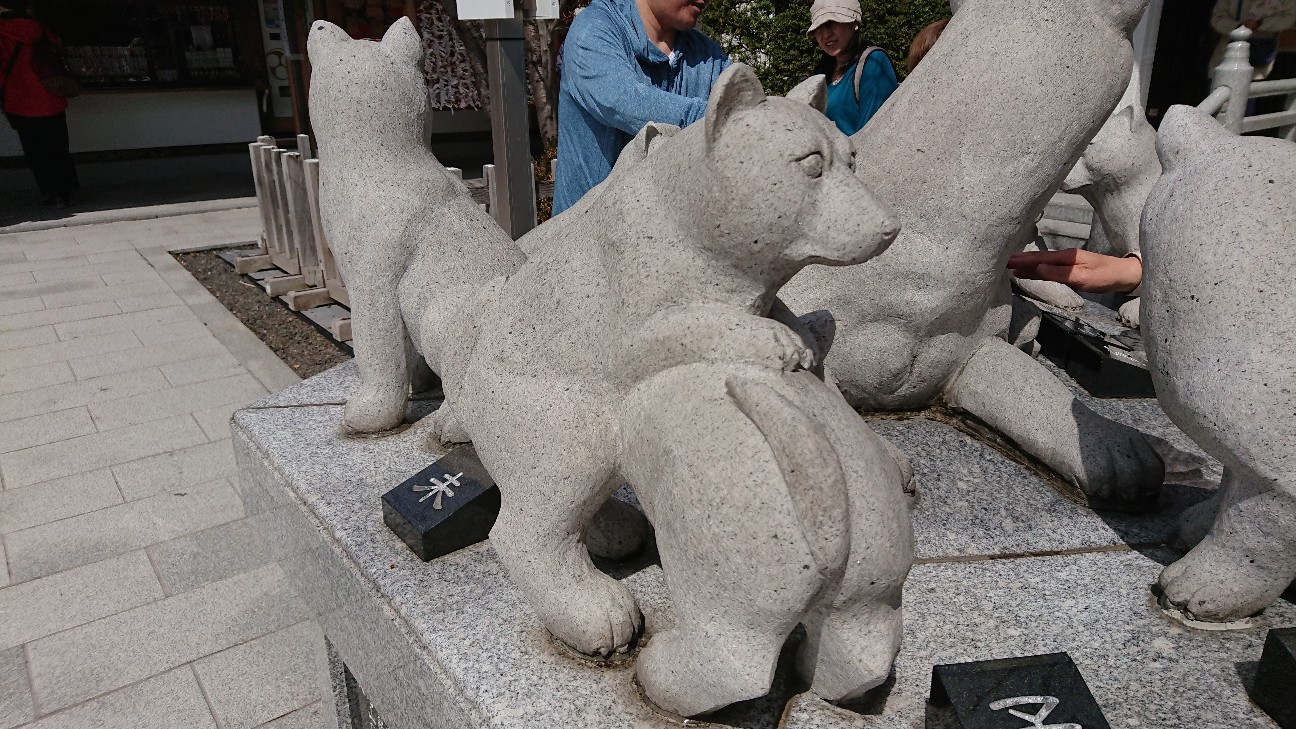 f:id:yoruironoagehachou:20190501114729j:image