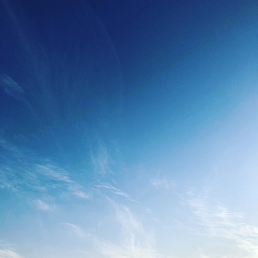 f:id:yorukuma76:20210221182655j:image